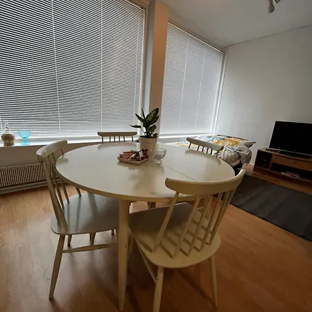 Studio Apartment 아파트 *