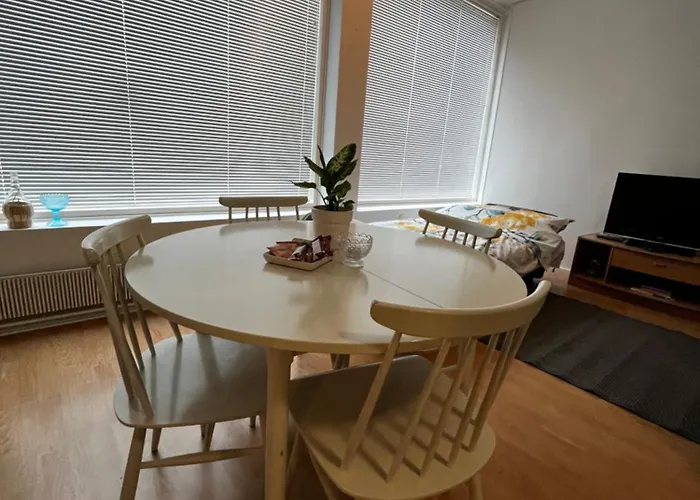 Studio Apartment 아파트 *
